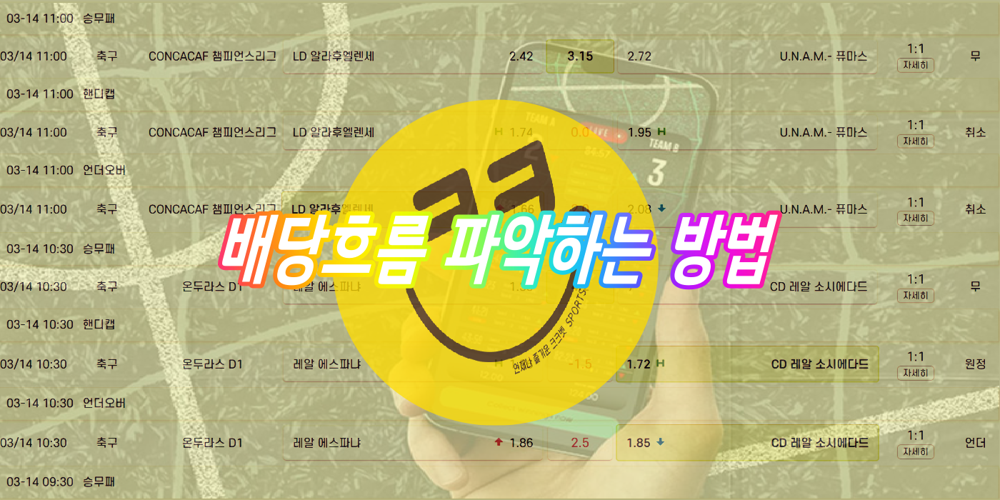 크크벳 배당흐름 파악 방법